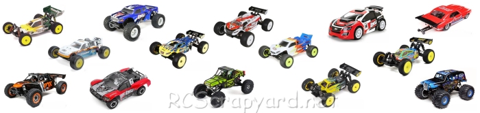 Team Losi